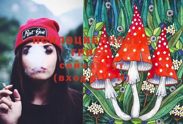 PSILOCYBIN Алзамай