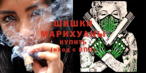 сатива Галич