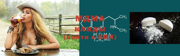 PSILOCYBIN Алзамай