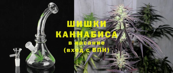 PSILOCYBIN Алзамай