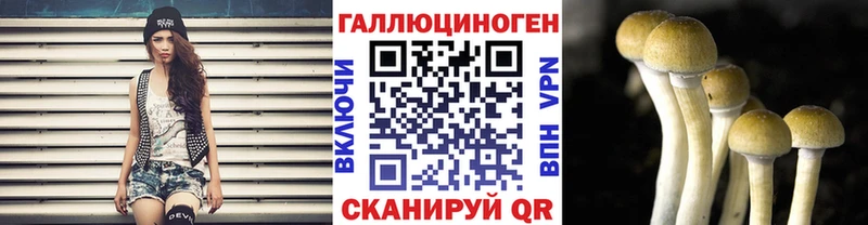 Псилоцибиновые грибы MAGIC MUSHROOMS  цена наркотик  Кирс 